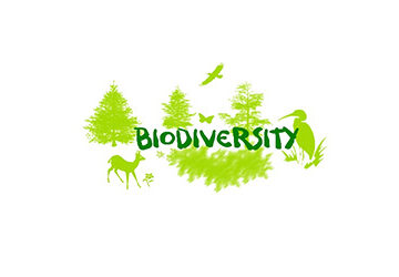 biodiversity