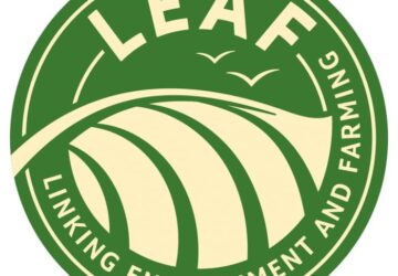 leaf-marque-certificazione