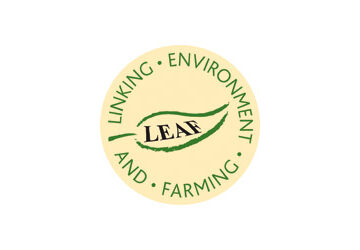 leafmarqueebrief