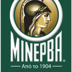 Minerva_SA