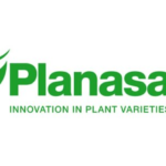 Planasa