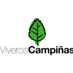 campinas