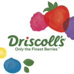 driscoll's