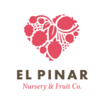 Elpinar