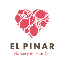 Elpinar
