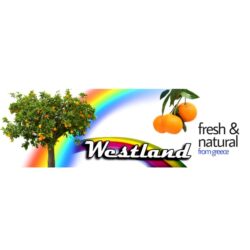 Westland_Fruits_Αρχοντάκης