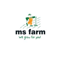 ms farm - Σαπουντζόγλου Μάρκος