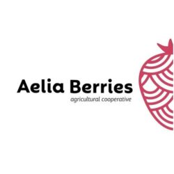ΑΣ Aelia Berries